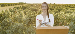 pesage des vendanges