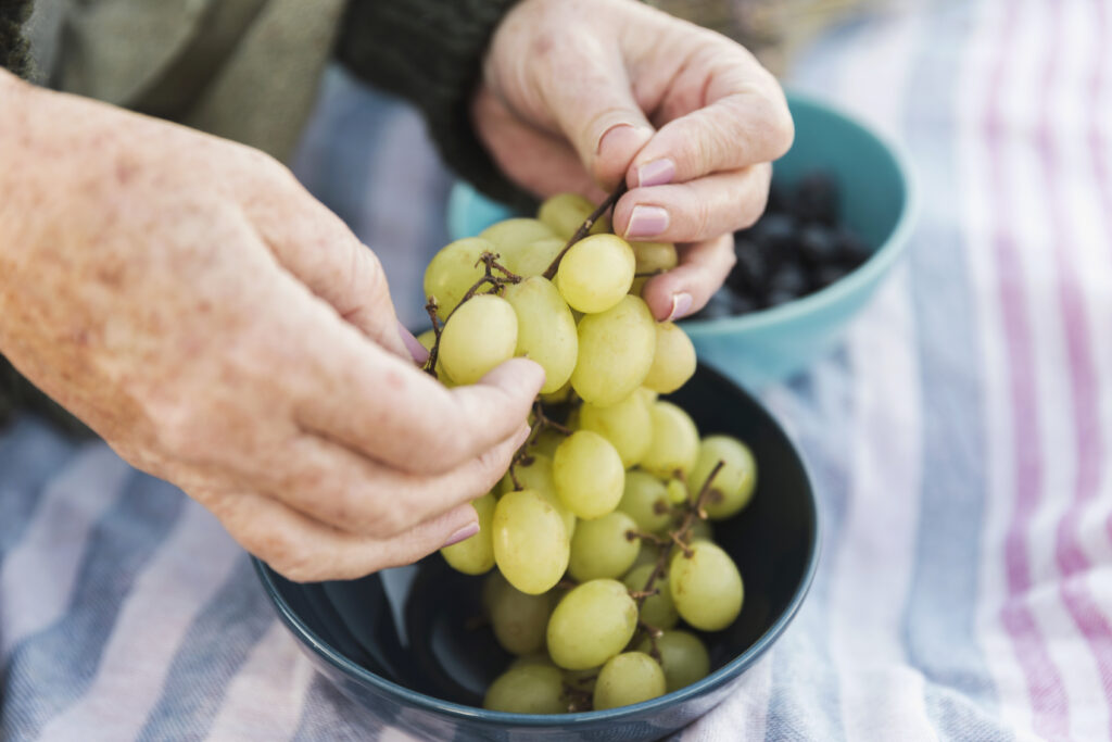 pesage des vendanges